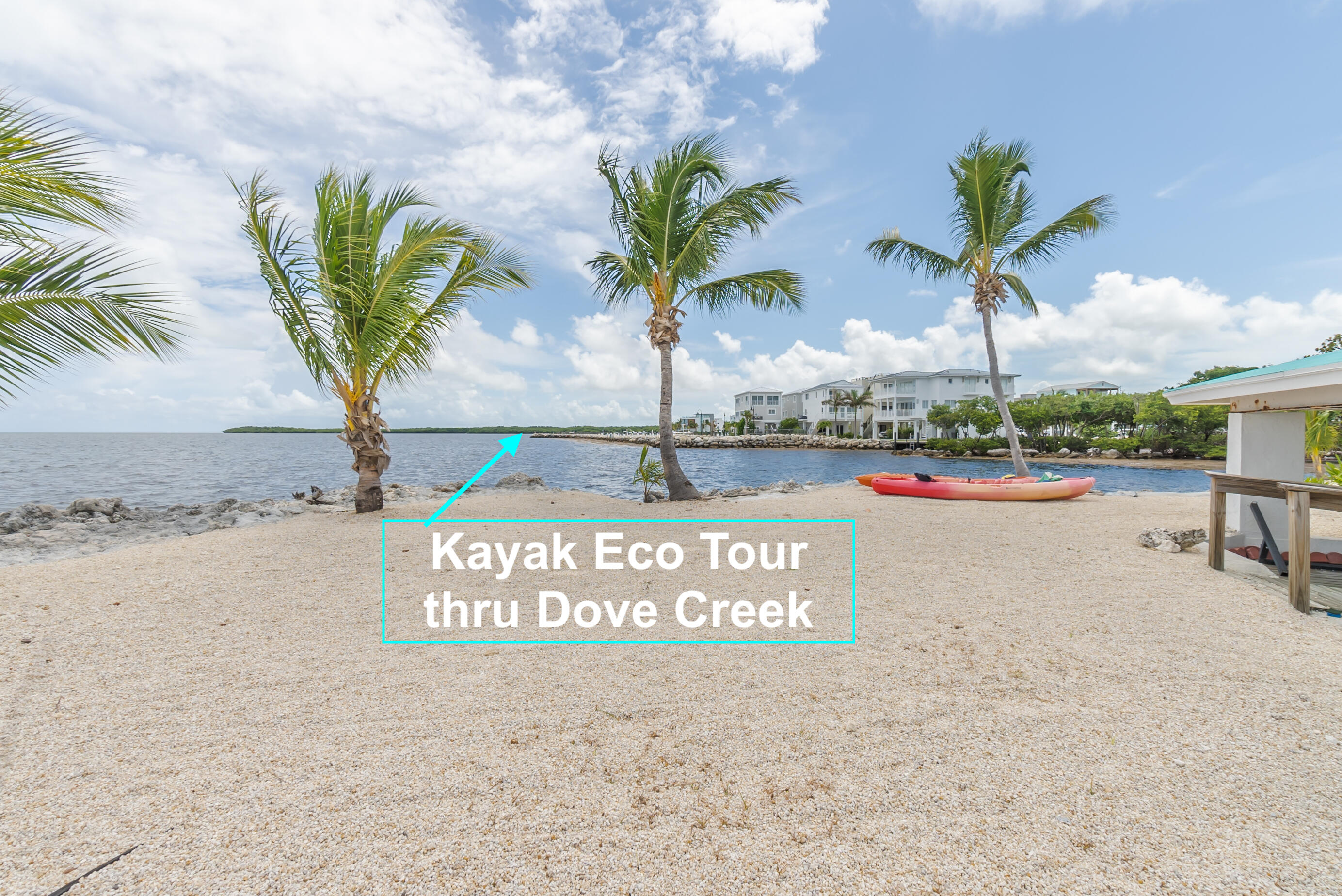 601 Cuda Lane Key Largo, FL 33037 - Photo 19 of 90 Kayack Eco Tour