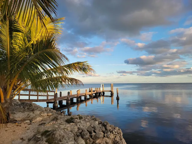 a view of an ocean and beach