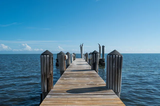 a view of a swimming pool with a wooden floor