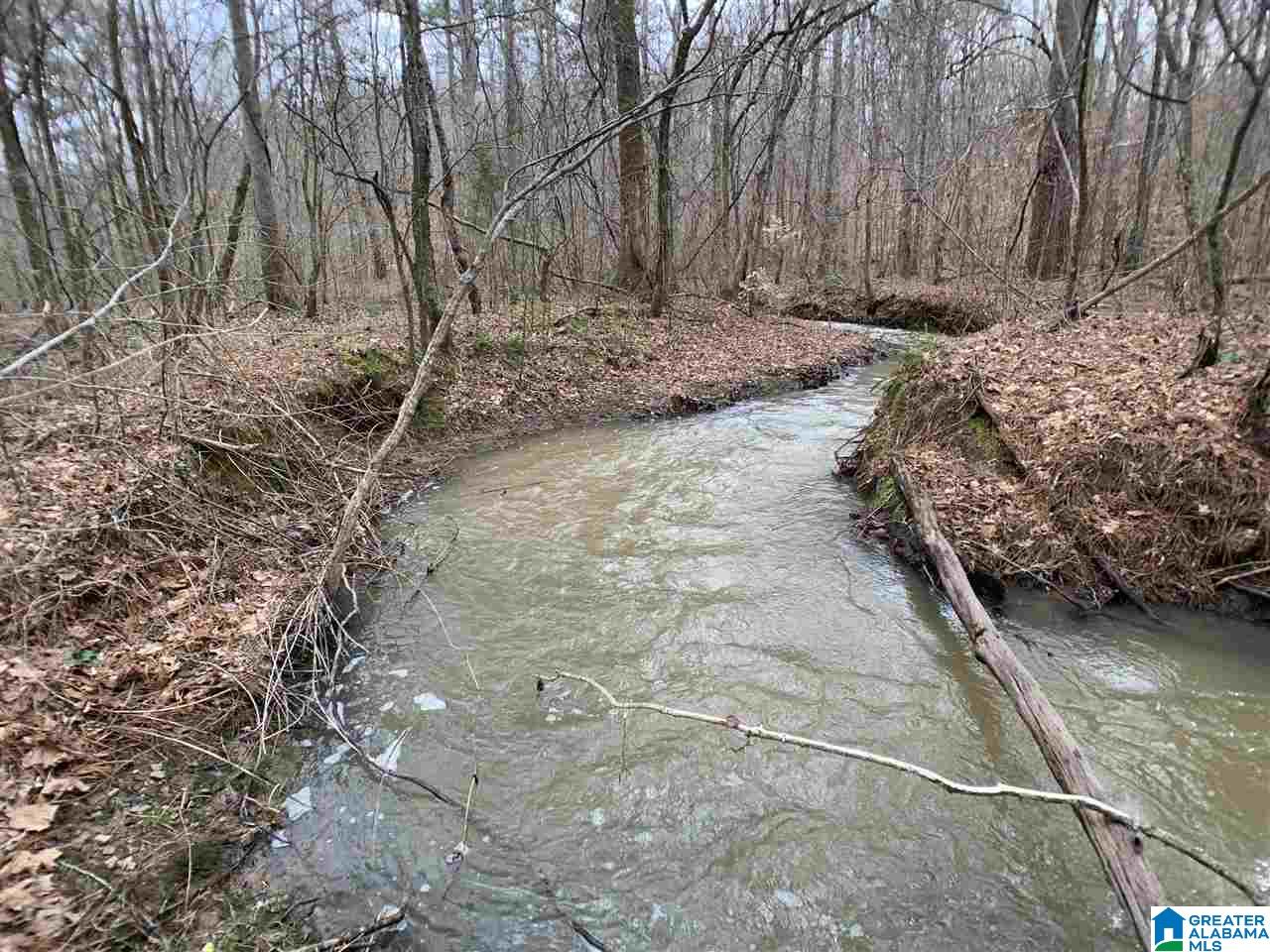 0 Possum Trot Road Piedmont, AL 36272 - Photo 7 of 13