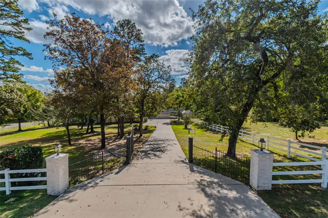a view of park with large tree