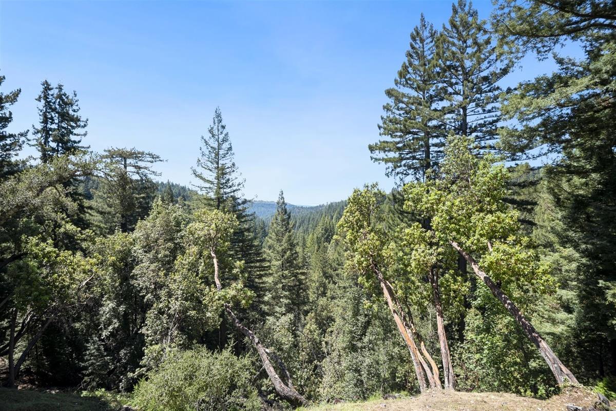 23050 Old Logging Road Los Gatos, CA 95033 - Photo 39 of 46 Gallery Image 39