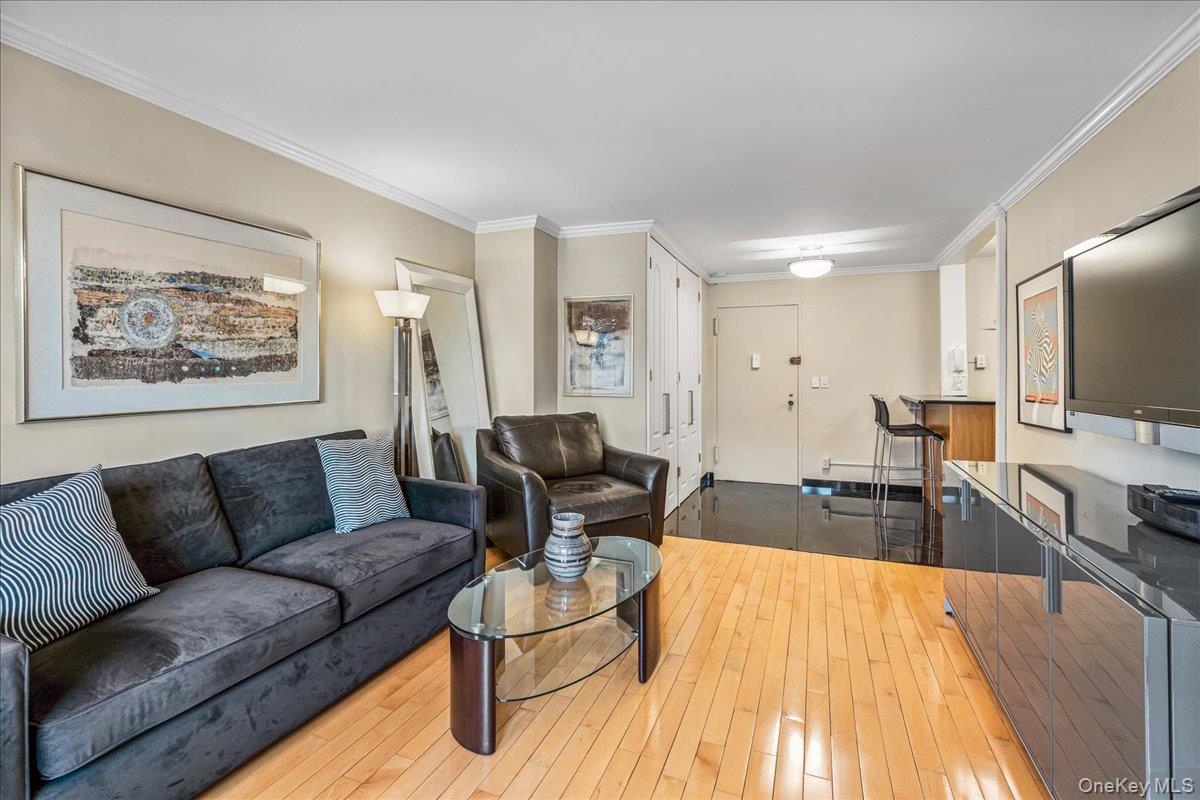 220-55 46th Avenue, Unit 5P Queens, NY 11361 - Photo 8 of 24 a living room with furniture and a flat screen tv