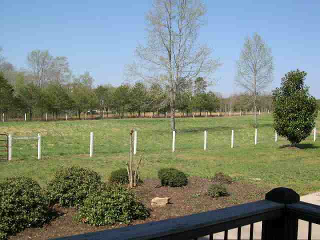 355 North Barton Road Taylors, SC 29687 - Photo 22 of 25 Gallery Image 22