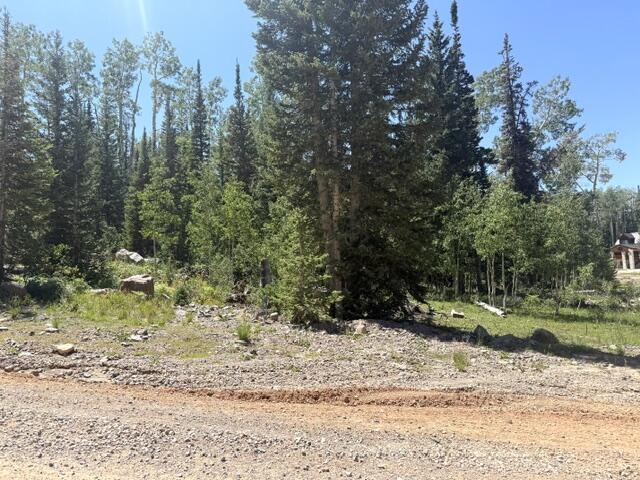 263 Hidden Lake Road, Unit LOT #5 Brian Head, UT 84719 - Photo 2 of 10 IMG_7177