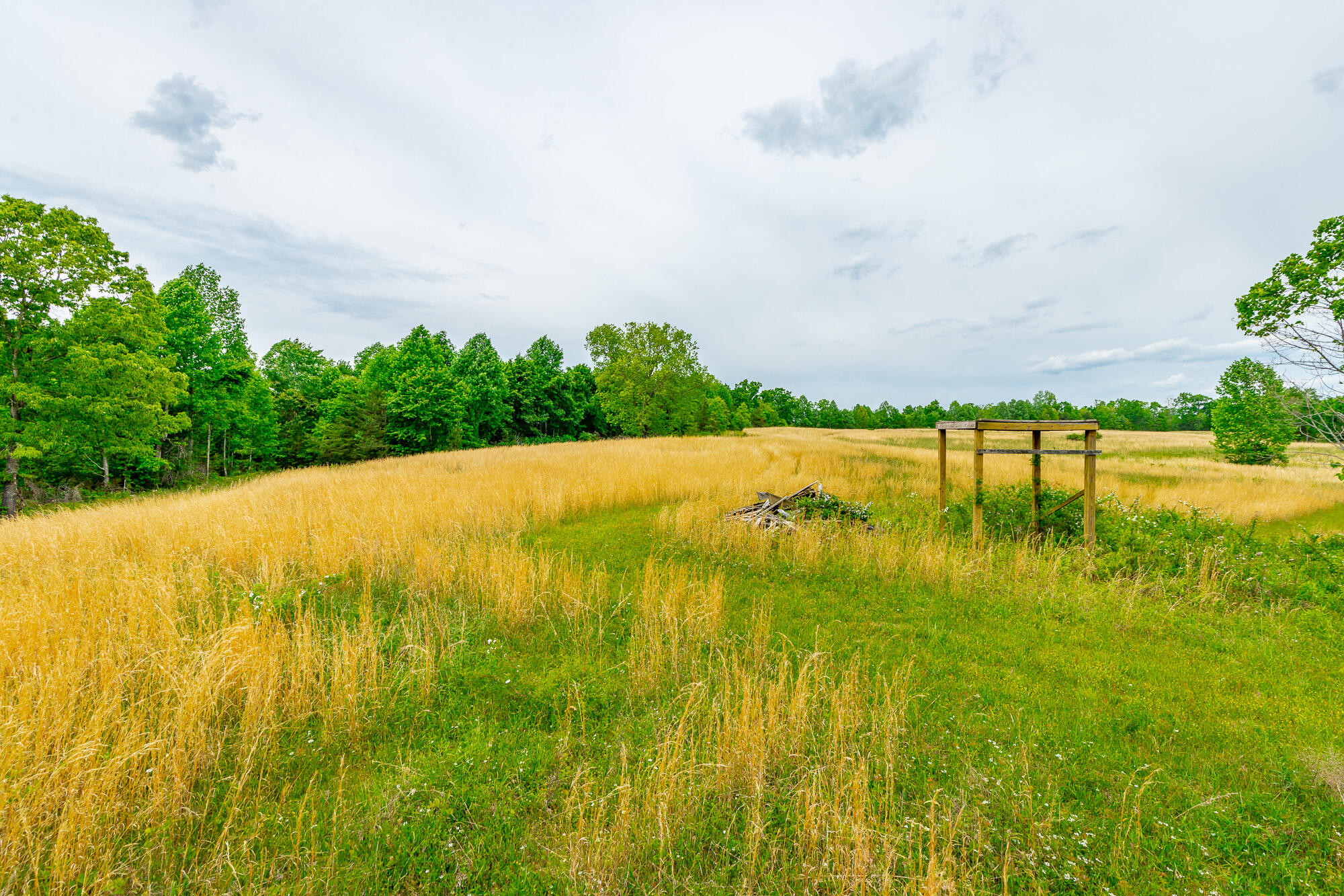 0 Ray Gadd Road Graysville, TN 37338 - Photo 82 of 109 Ray Gadd Road Lot HD-27