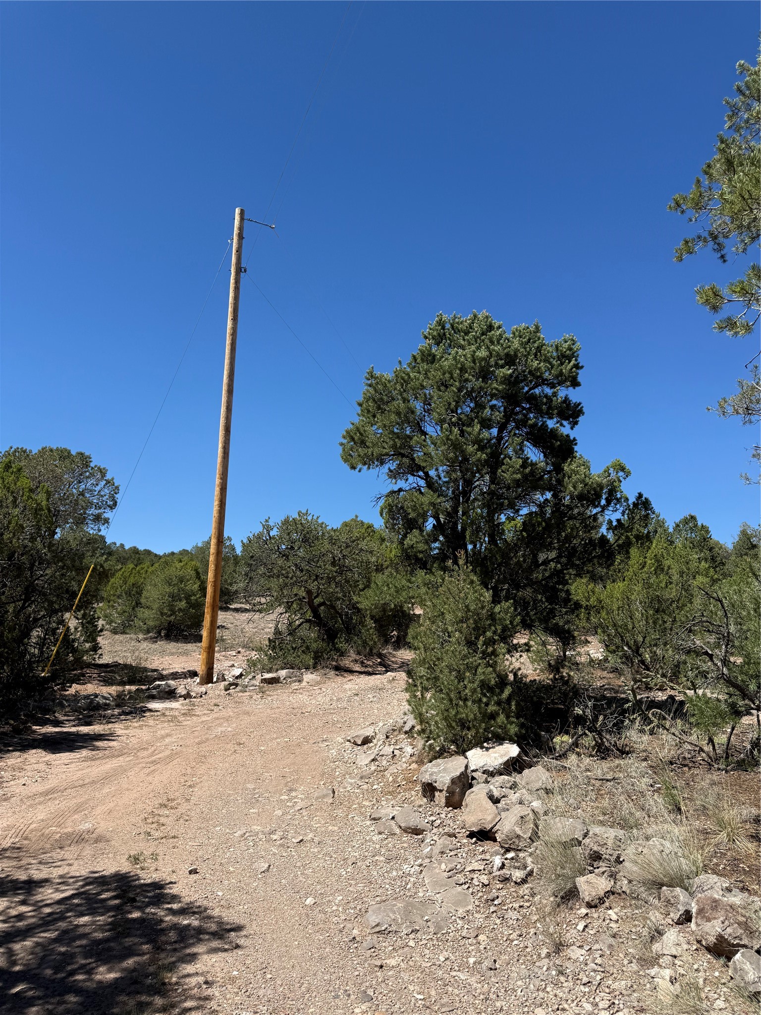 174 Hidden Valley Ranch Road Ilfeld, NM 87538 - Photo 24 of 30