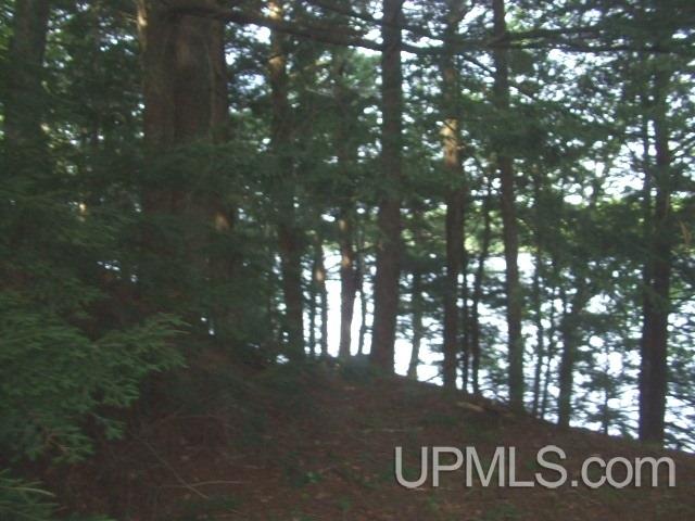 Tbd Island Lake Road, Unit 19 & 20 Hurley, WI 54534 - Photo 4 of 8