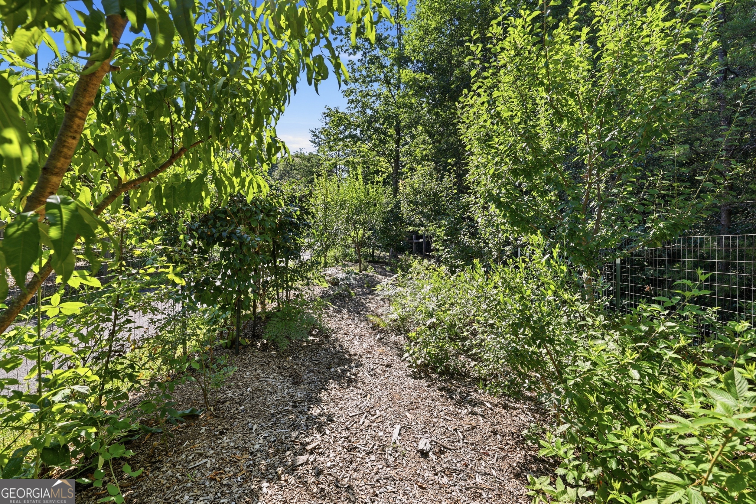 629 Monroe Ridge Road, Unit 30 59 Sautee Nacoochee, GA 30571 - Photo 67 of 85