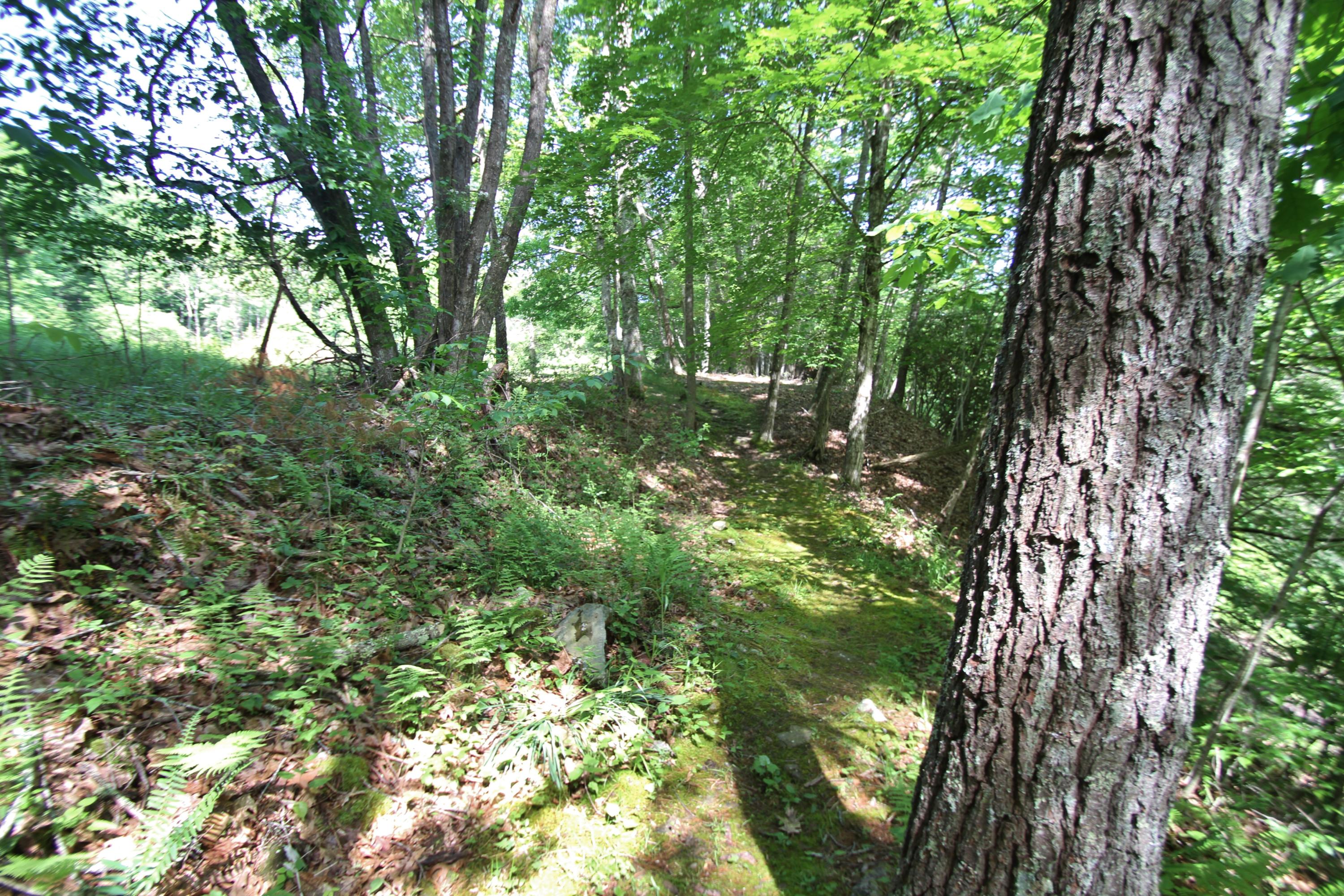 14626 Edray Road Cass, WV 24927 - Photo 78 of 84 Gallery Image 78