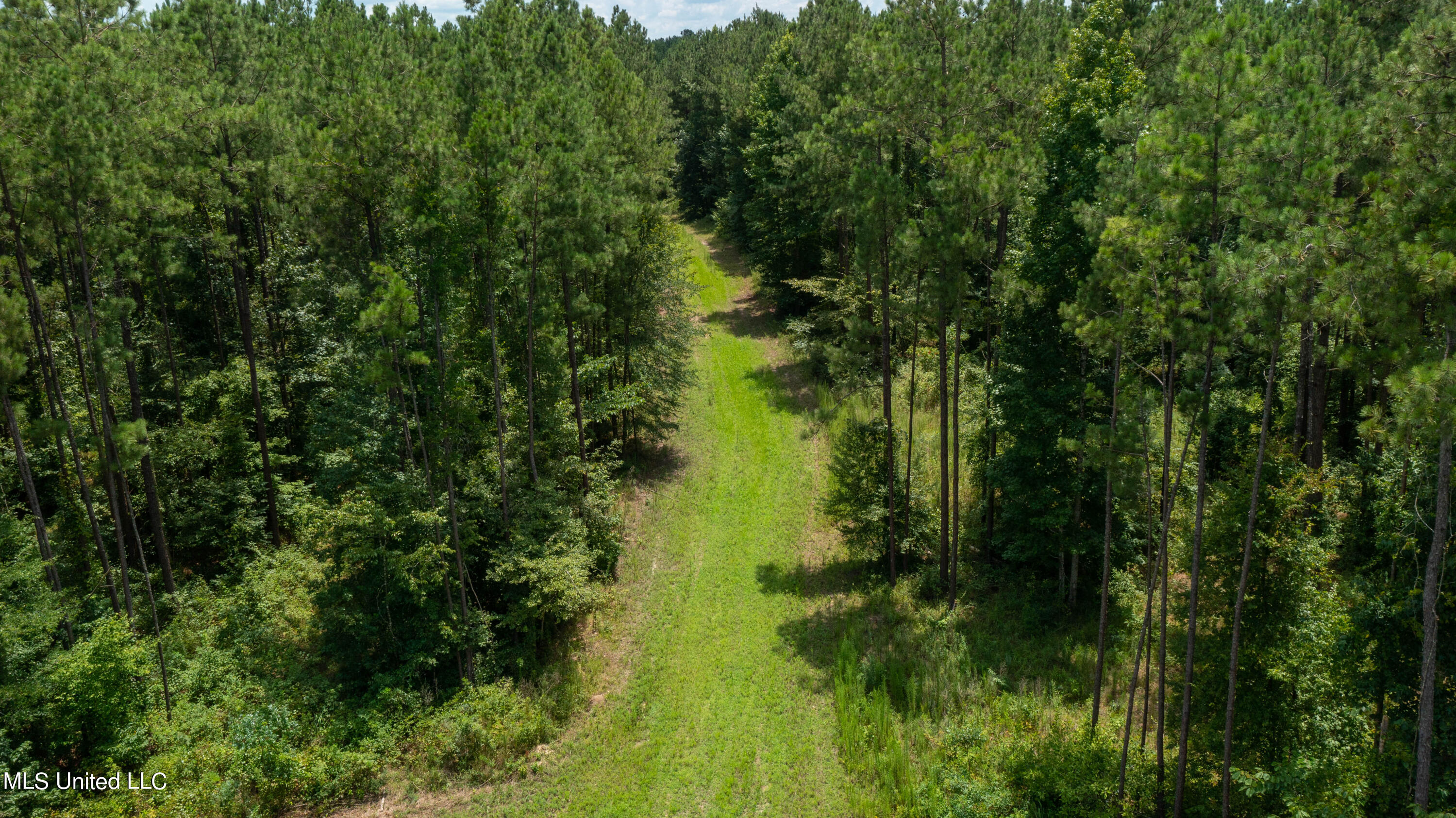 St-john St John Road Braxton, MS 39044 - Photo 11 of 31 St John Rd-127Acres-6