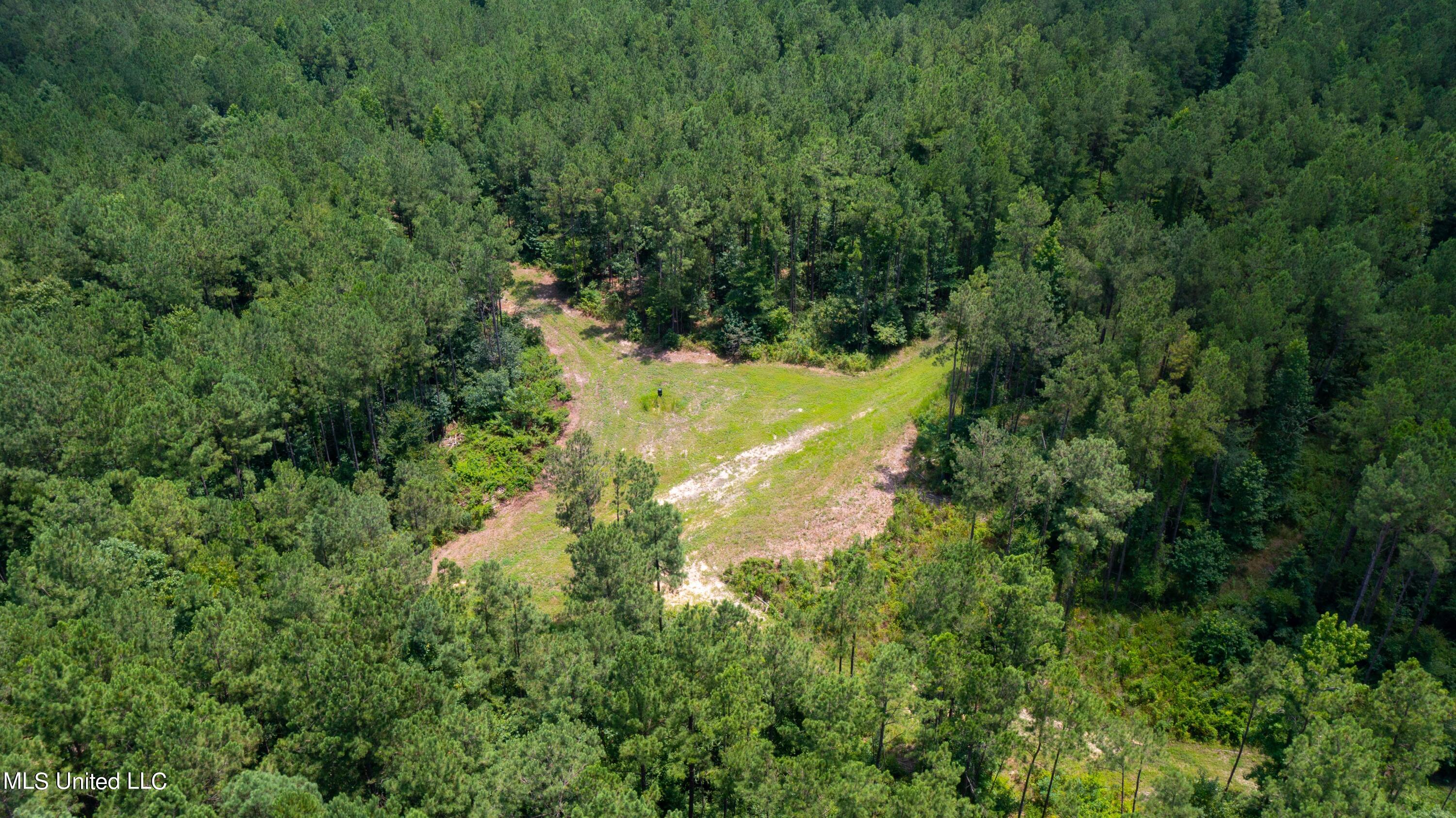St-john St John Road Braxton, MS 39044 - Photo 5 of 31 St John Rd-127Acres-3