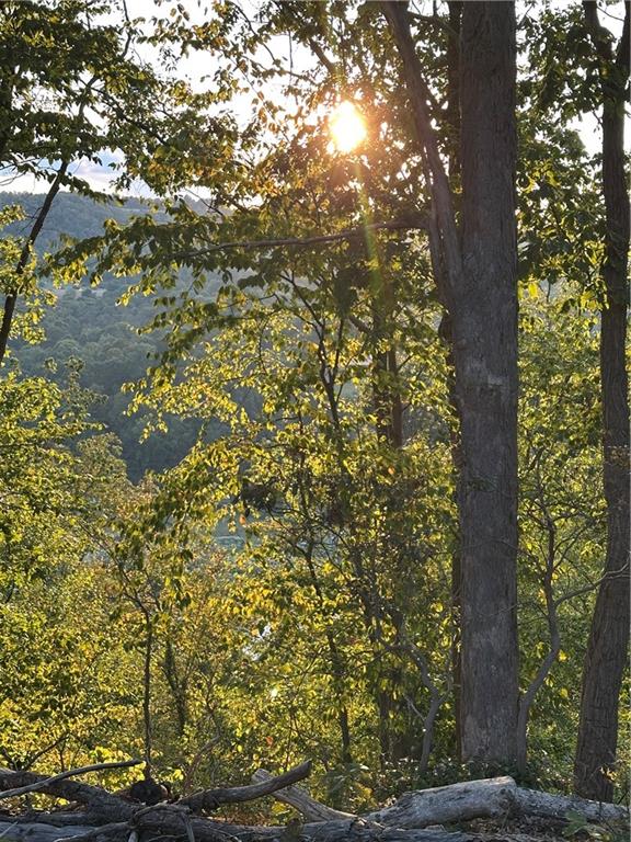 Lot 10 Sarah Furnace Road Rimersburg, PA 16248 - Photo 7 of 19 a view of tree