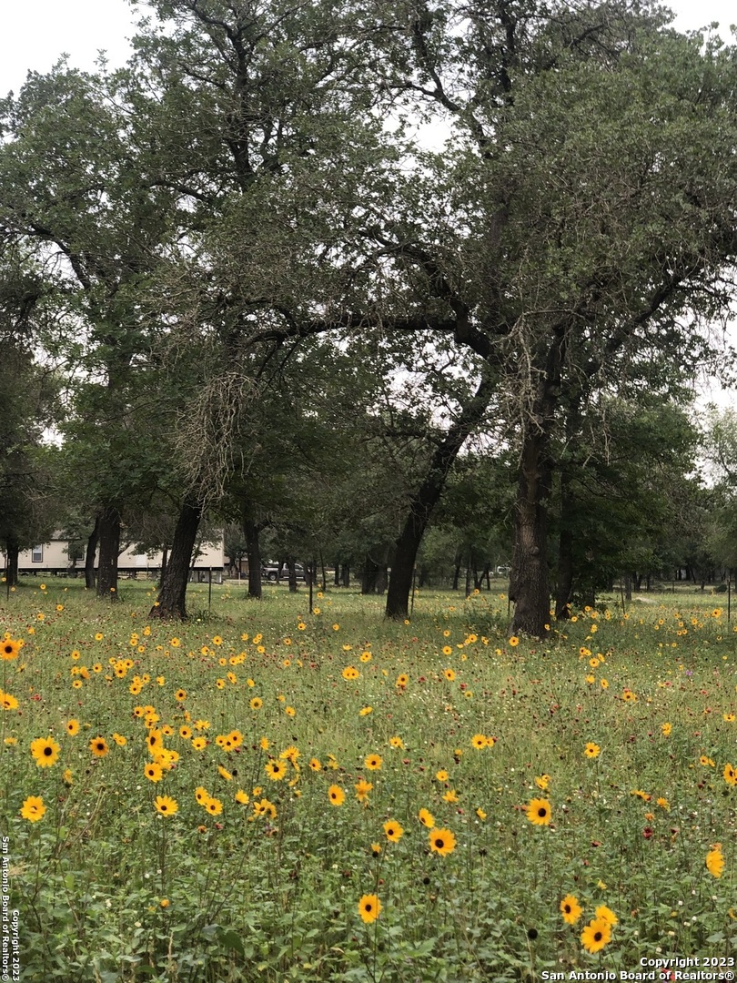 299 Highland Road Poteet, TX 78065 - Photo 17 of 31