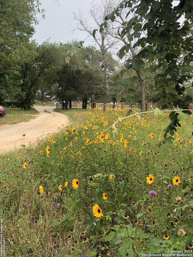 299 Highland Road Poteet, TX 78065 - Photo 18 of 31