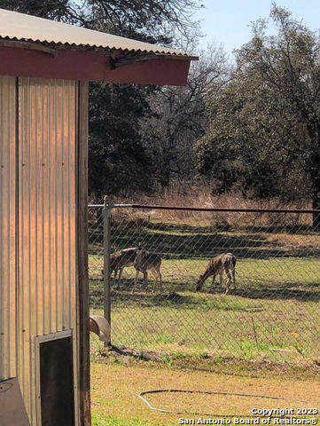 299 Highland Road Poteet, TX 78065 - Photo 23 of 31