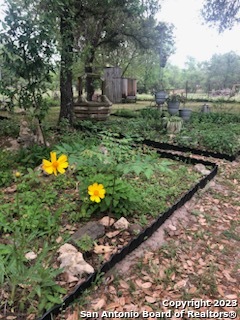 299 Highland Road Poteet, TX 78065 - Photo 28 of 31