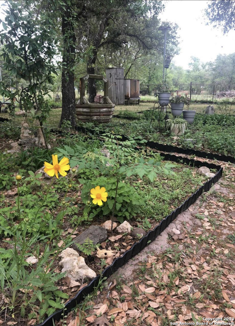 299 Highland Road Poteet, TX 78065 - Photo 3 of 31