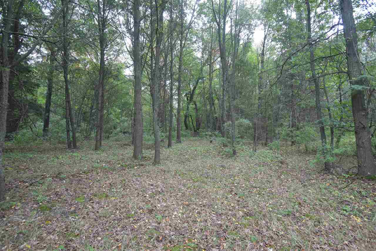 8781 Krouse Road Ovid, MI 48866 - Photo 38 of 39