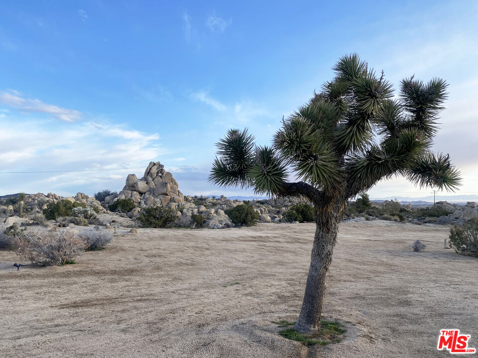 56434 B Cobalt Road Yucca Valley, CA 92284 - Photo 7 of 14 Gallery Image 7