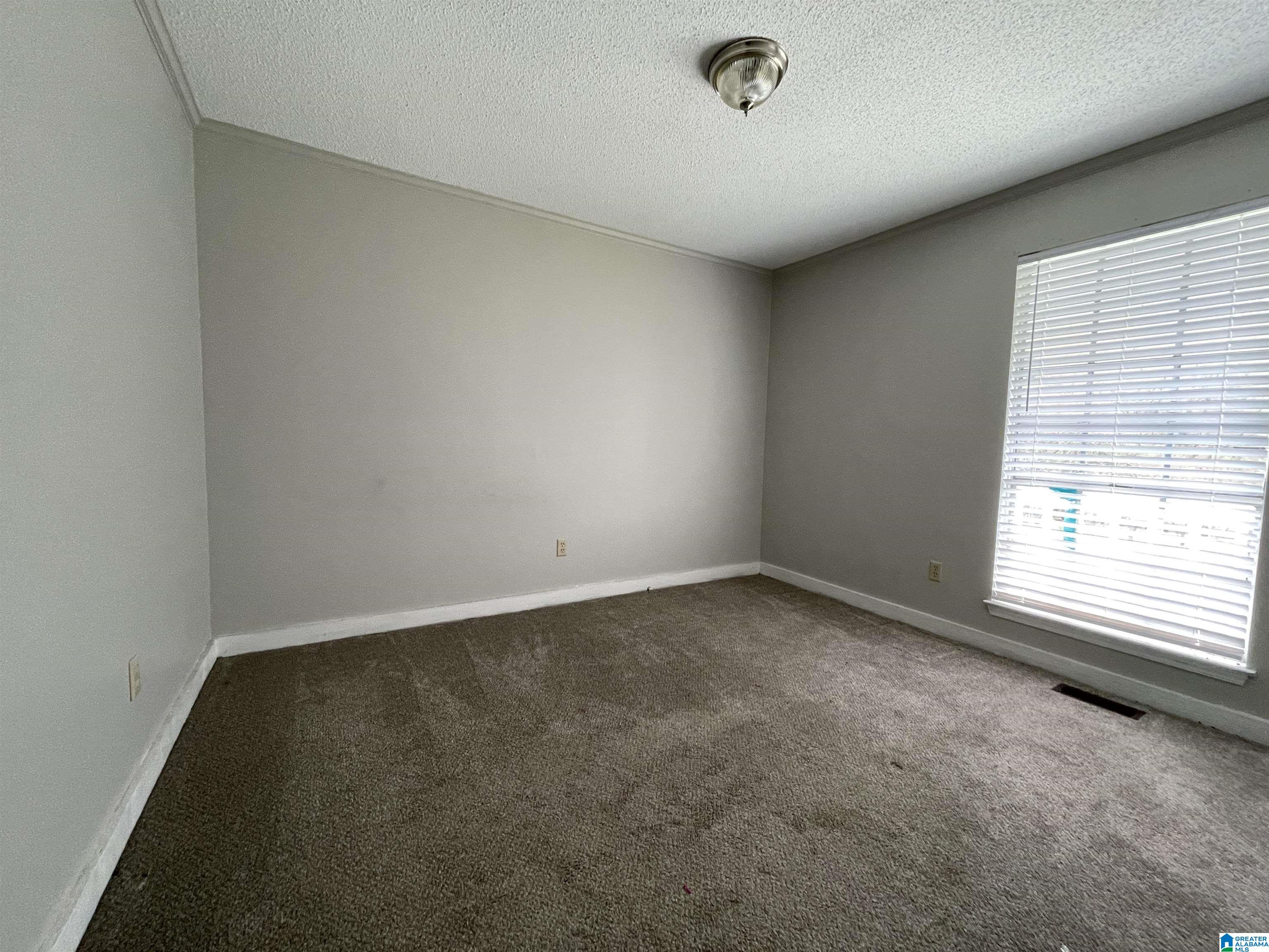 6401 Tyler Loop Road Pinson, AL 35126 - Photo 12 of 32