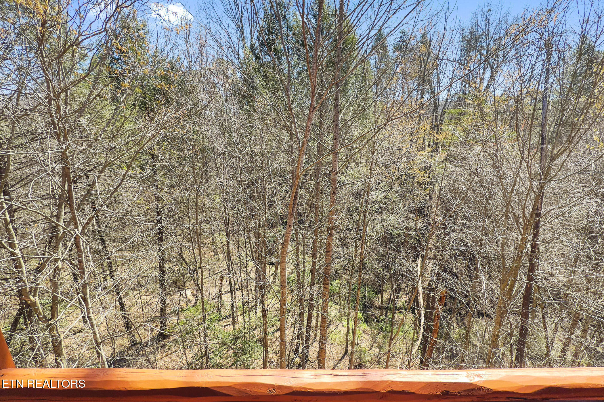 4355 Forest Ridge Way Pigeon Forge, TN 37863 - Photo 52 of 55 img_9019