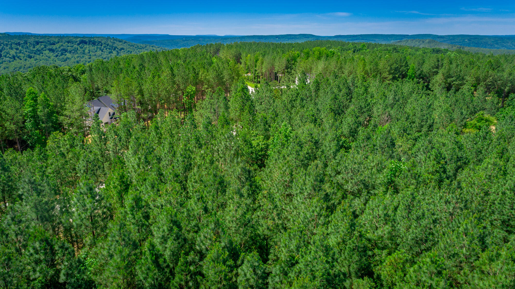 0 Split Rail Way, Unit LOT 1163 Guild, TN 37340 - Photo 67 of 118 River Gorge Lot 1163 HD-73
