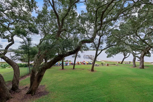 a view of green field with sitting tree