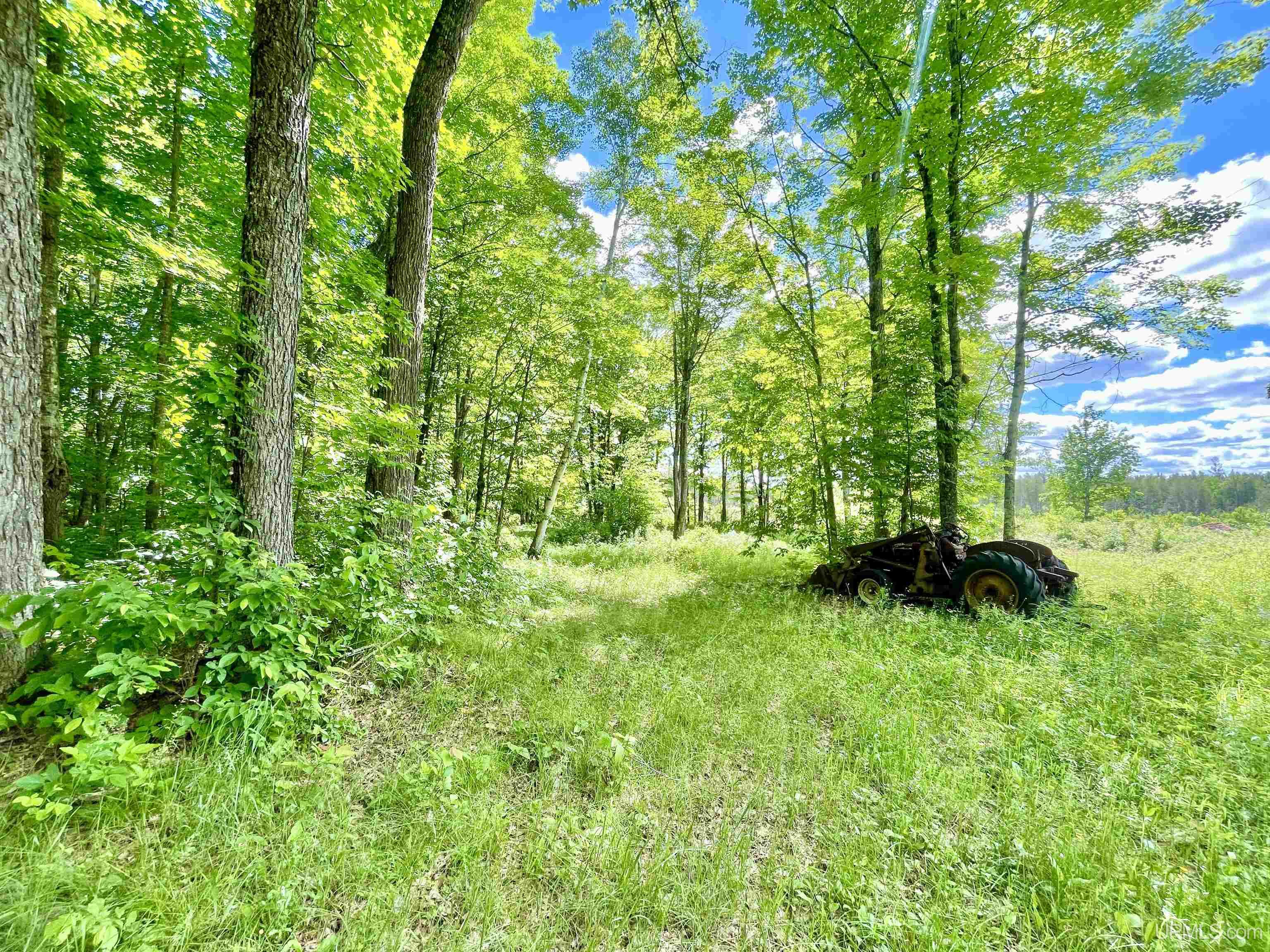 Tbd Norway Lake Road Felch, MI 49831 - Photo 14 of 14