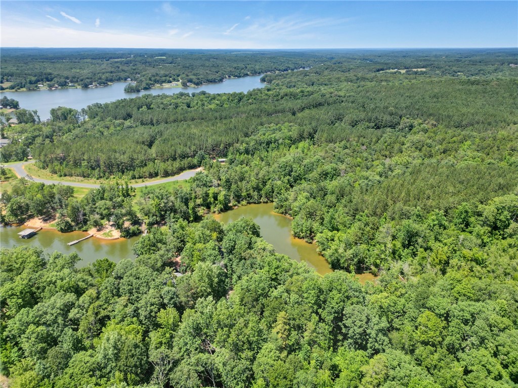 0 Jets Landing Road Abbeville, SC 29620 - Photo 11 of 12