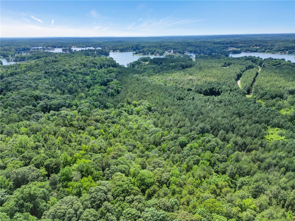 0 Jets Landing Road Abbeville, SC 29620 - Photo 12 of 12