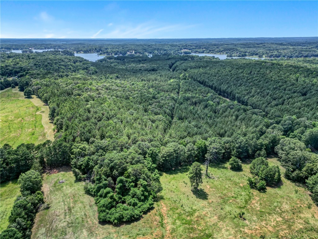 0 Jets Landing Road Abbeville, SC 29620 - Photo 2 of 12