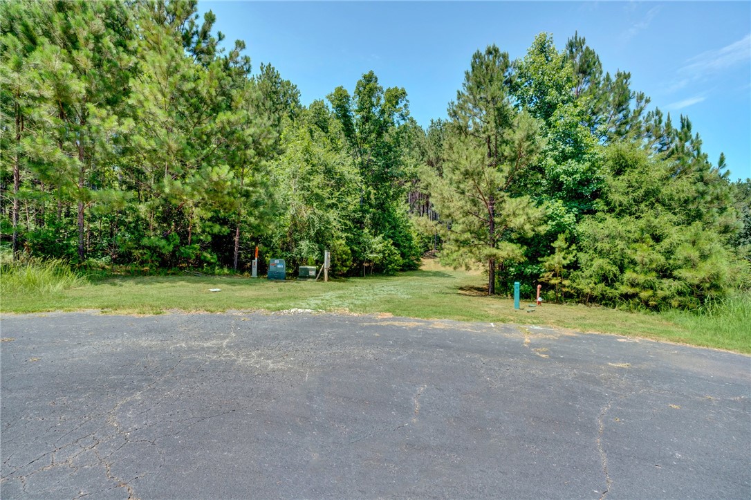 0 Jets Landing Road Abbeville, SC 29620 - Photo 4 of 12
