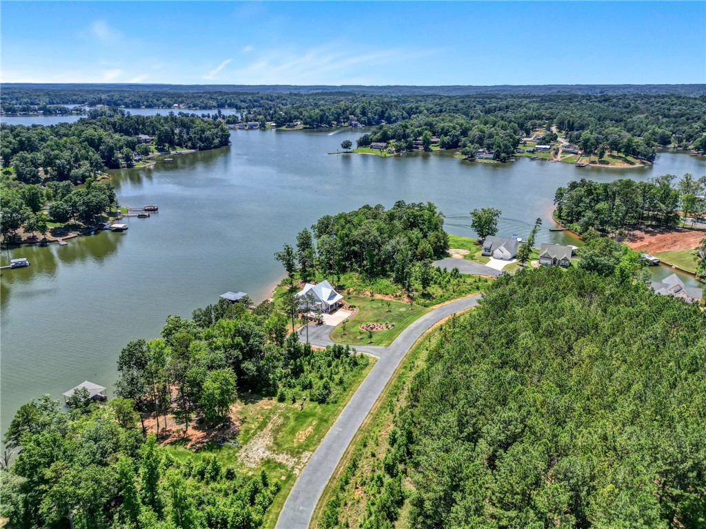 0 Jets Landing Road Abbeville, SC 29620 - Photo 6 of 12
