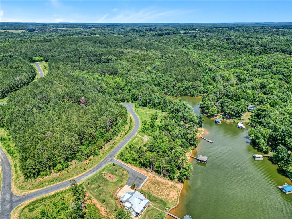 0 Jets Landing Road Abbeville, SC 29620 - Photo 7 of 12