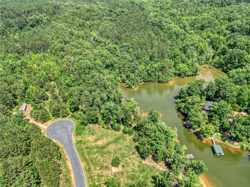 0 Jets Landing Road Abbeville, SC 29620 - Photo 8 of 12