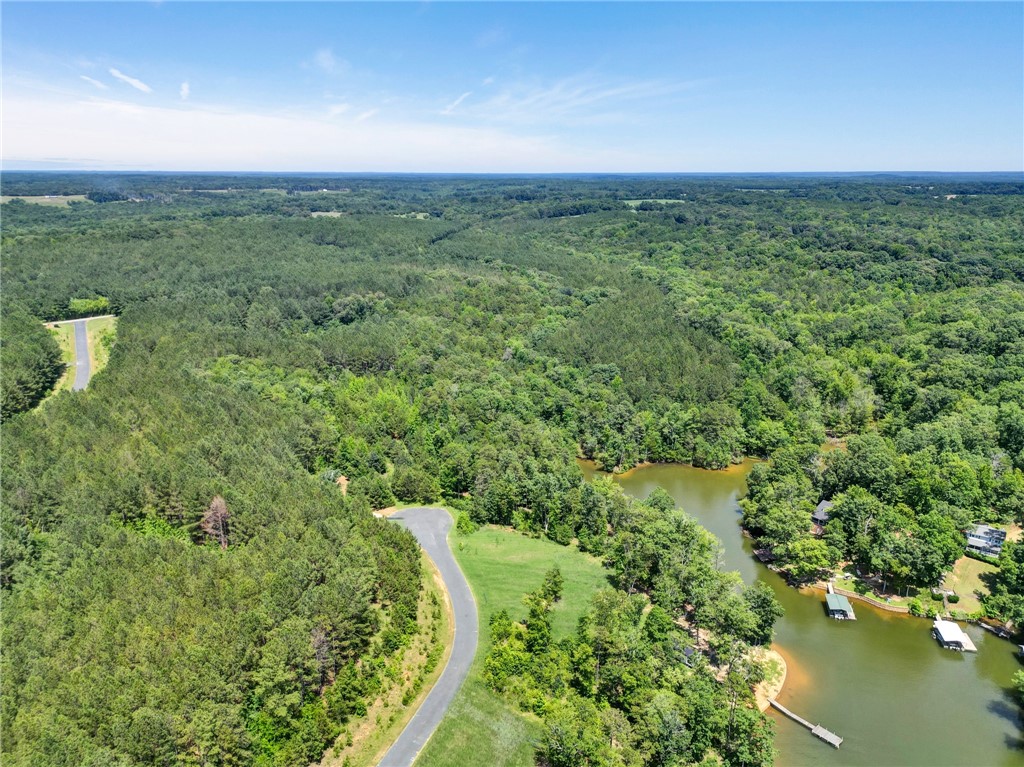 0 Jets Landing Road Abbeville, SC 29620 - Photo 10 of 12