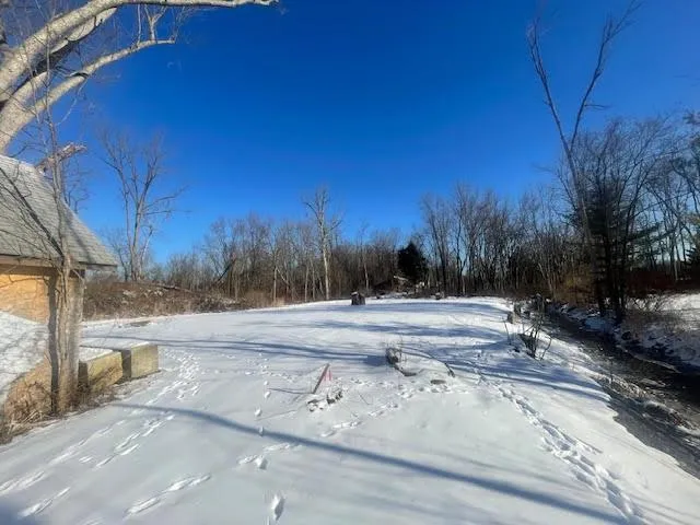 a view of a yard with a trees