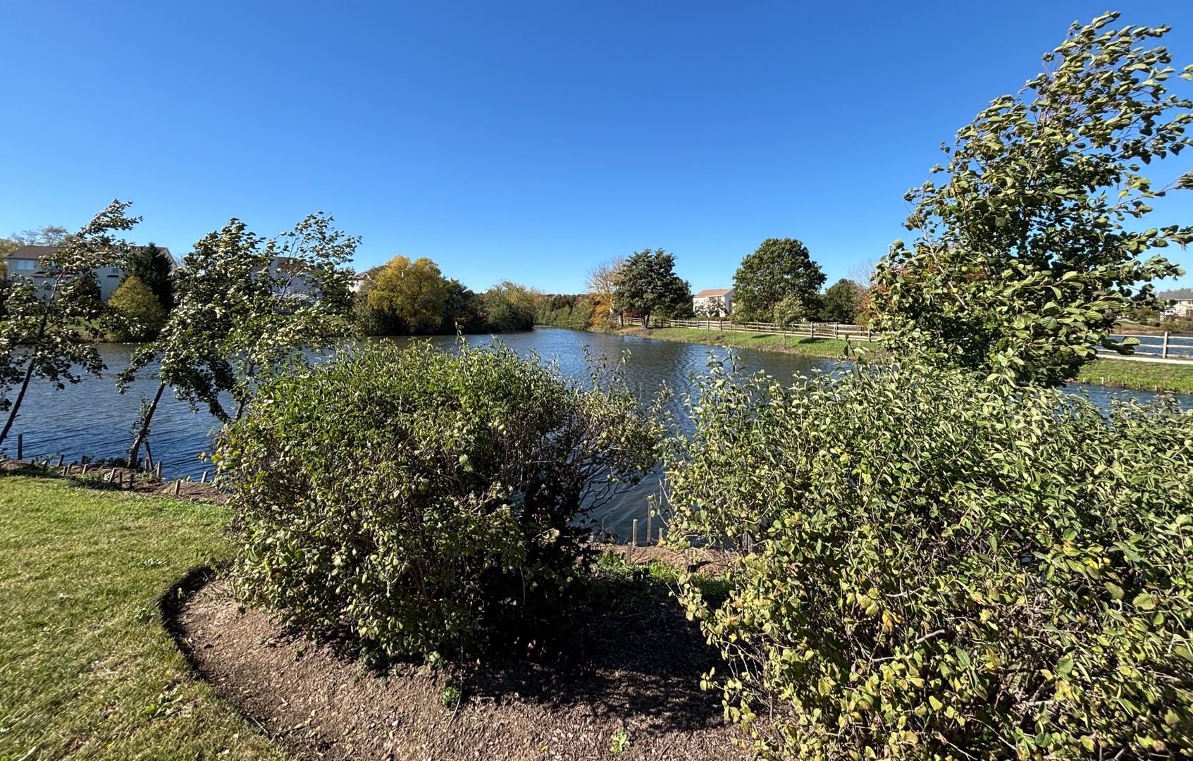 3303 Redbud Drive Lindenhurst, IL 60046 - Photo 19 of 25 a view of a garden with plants and large trees