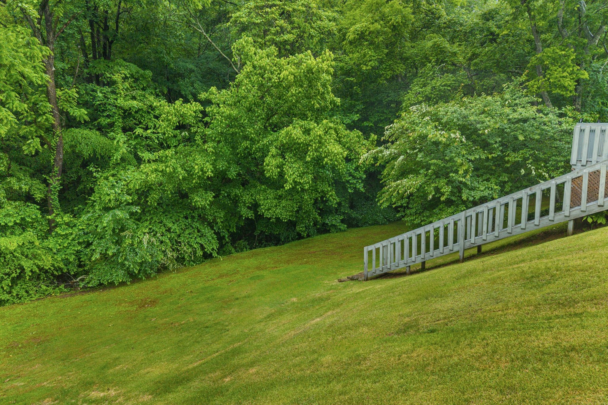 310 Hasty Hollow Road Lynchburg, TN 37352 - Photo 47 of 54