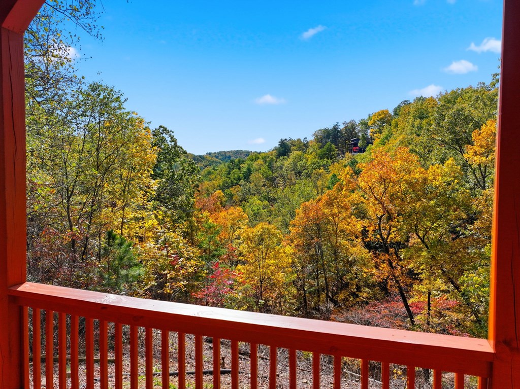 1384 Crystal Lane Northeast Ranger, GA 30734 - Photo 5 of 52
