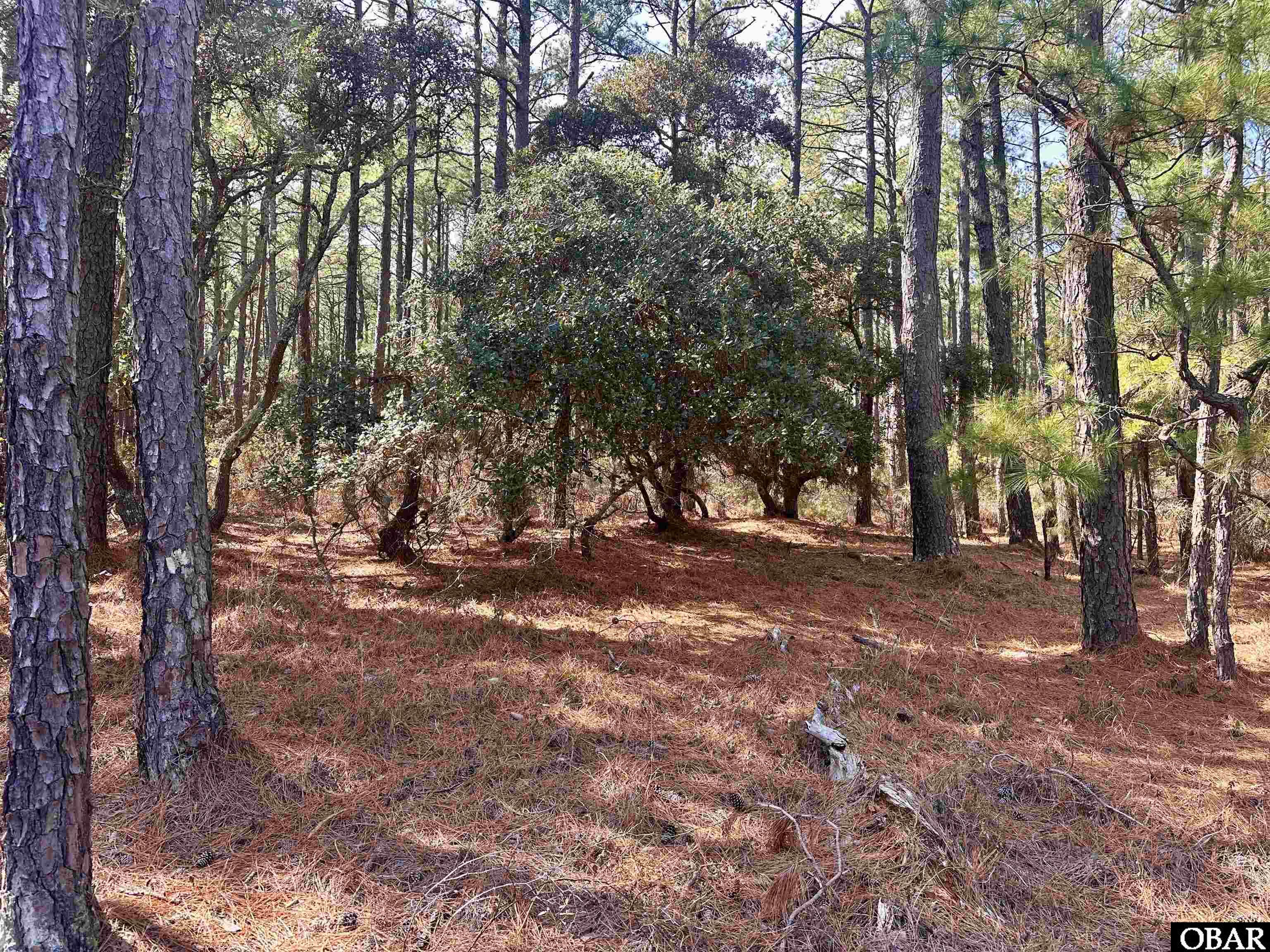 2322 Ocean Pearl Road Corolla, NC 27927 - Photo 7 of 25