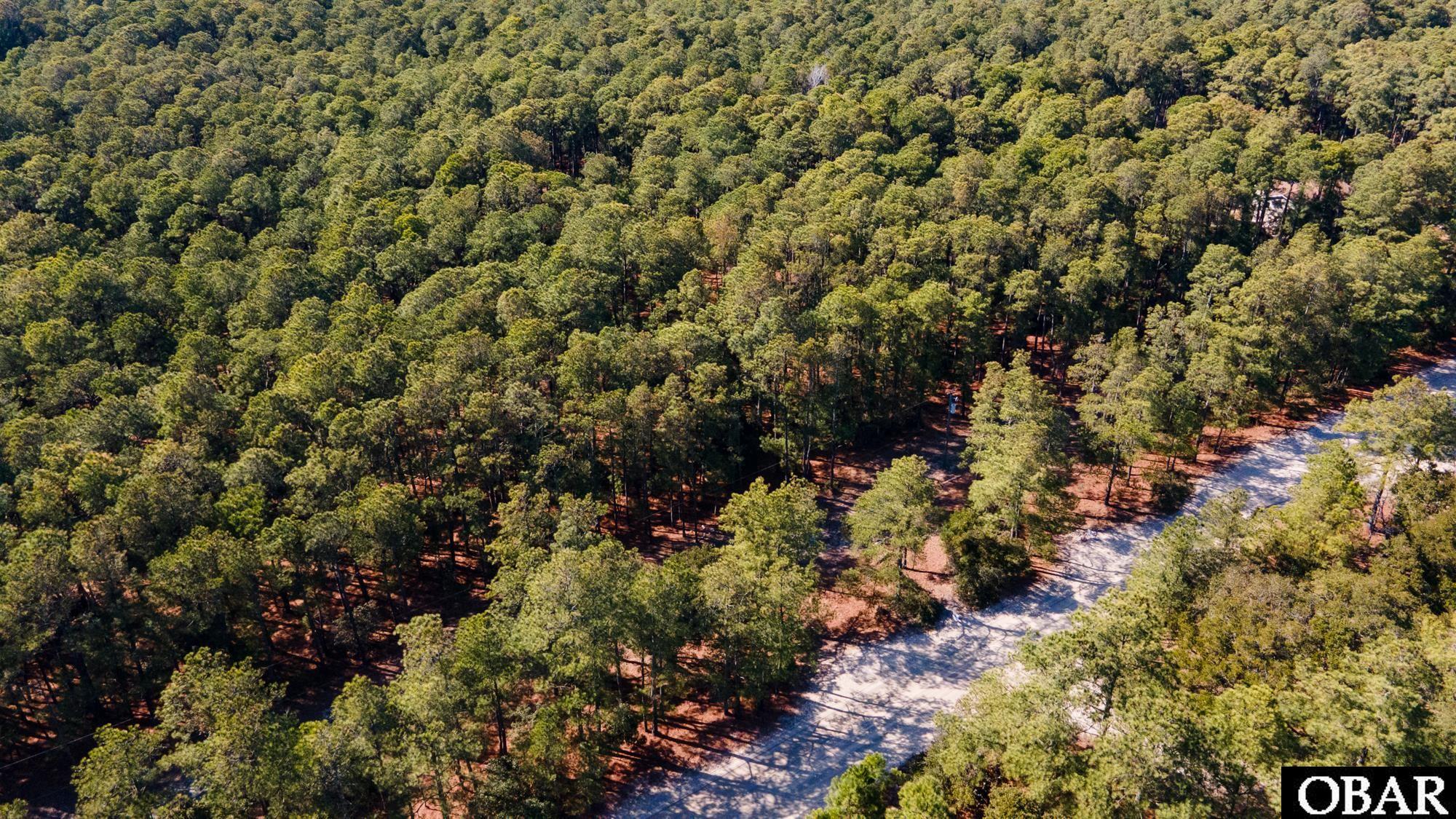 2322 Ocean Pearl Road Corolla, NC 27927 - Photo 10 of 25