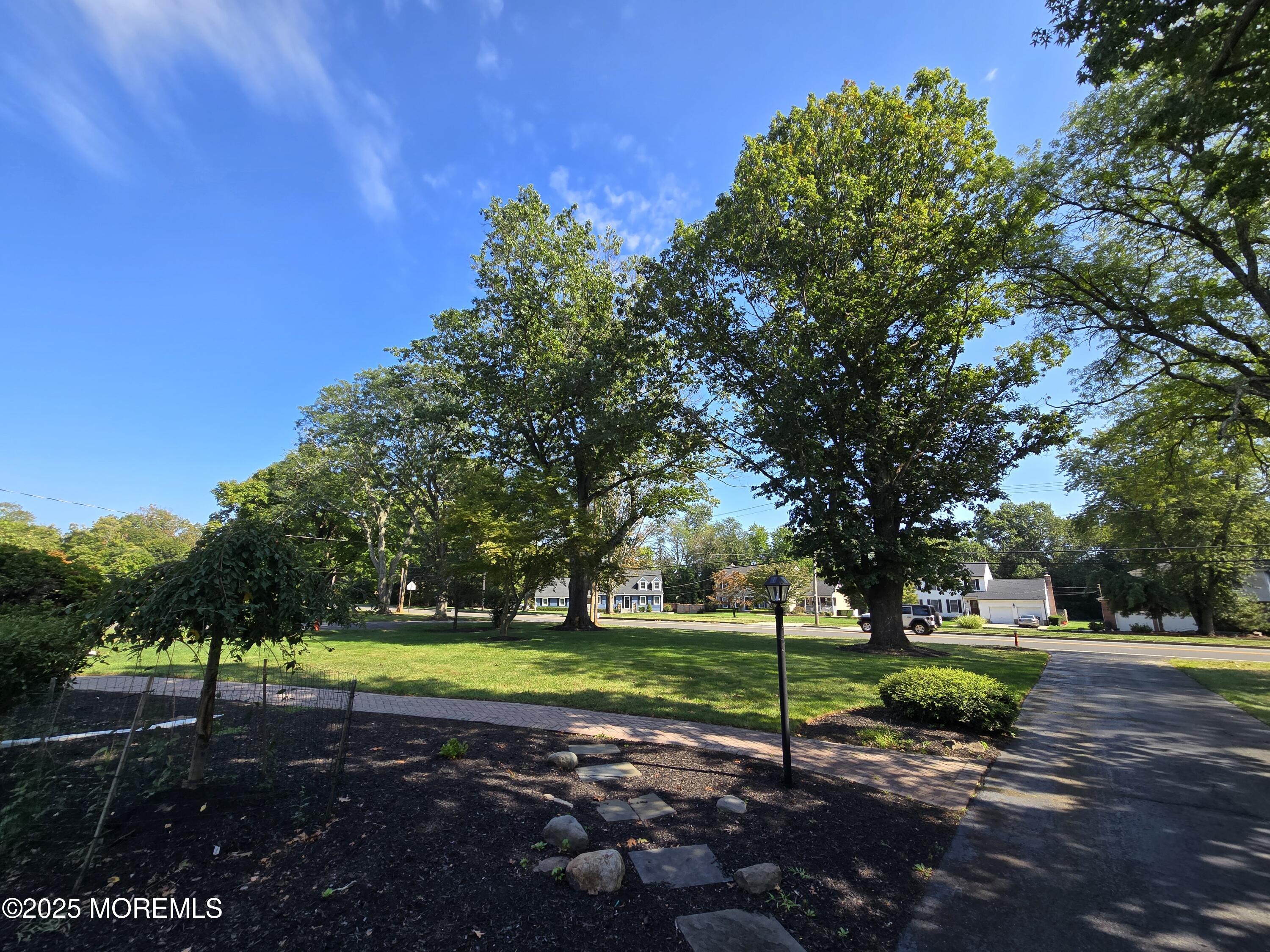 77 Dutch Lane Road Freehold, NJ 07728 - Photo 5 of 50 a view of a park with tree s