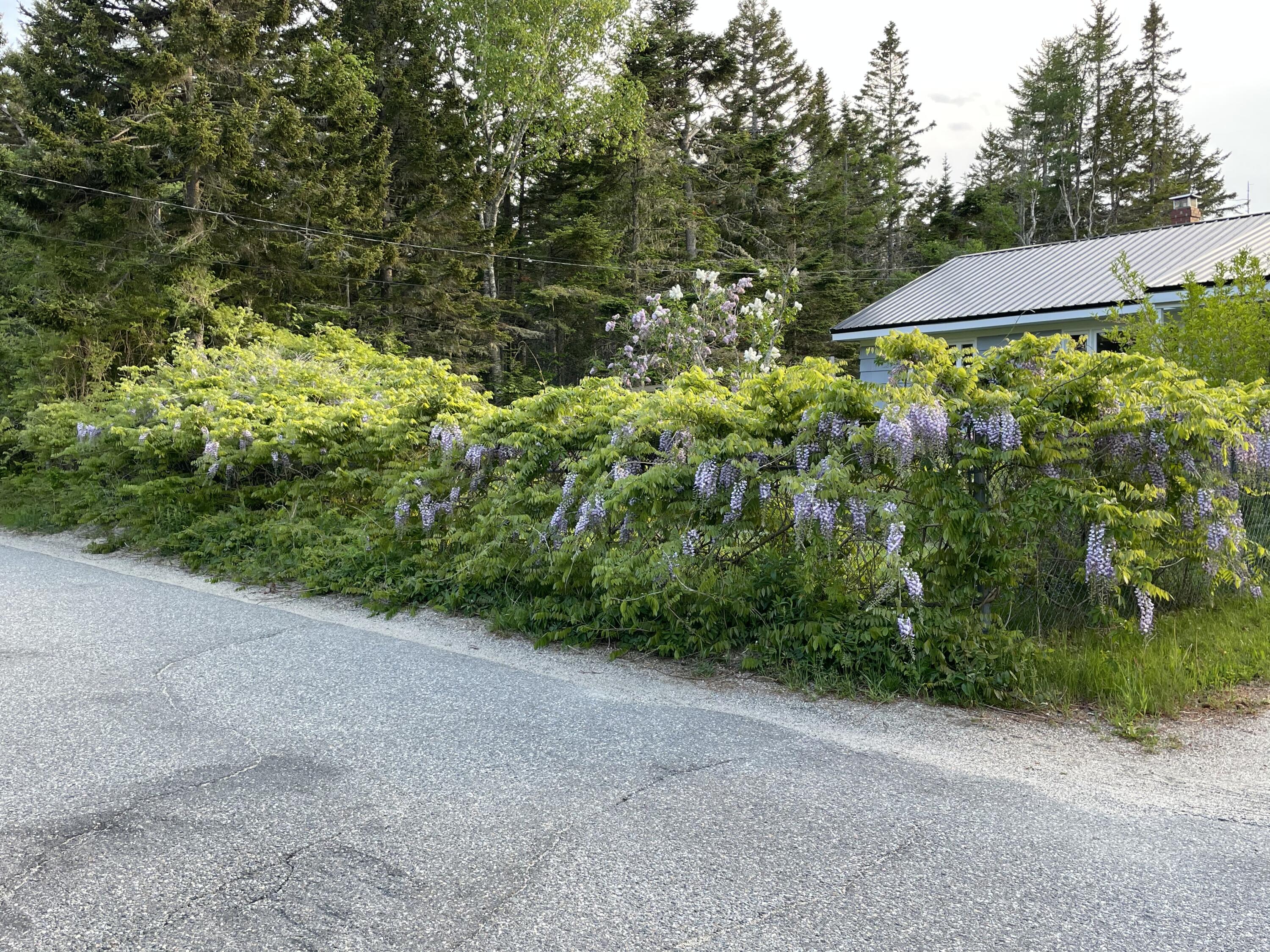 193 Mooseneck Road Addison, ME 04606 - Photo 4 of 36 ECE812F7-799D-43A7-9629-AD0623AF00D2