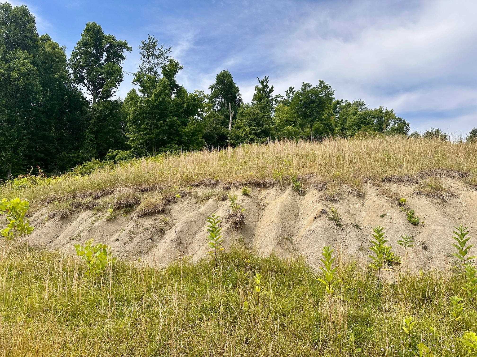 0 McCoy Road Huntington, WV 25701 - Photo 3 of 7 Gallery Image 3