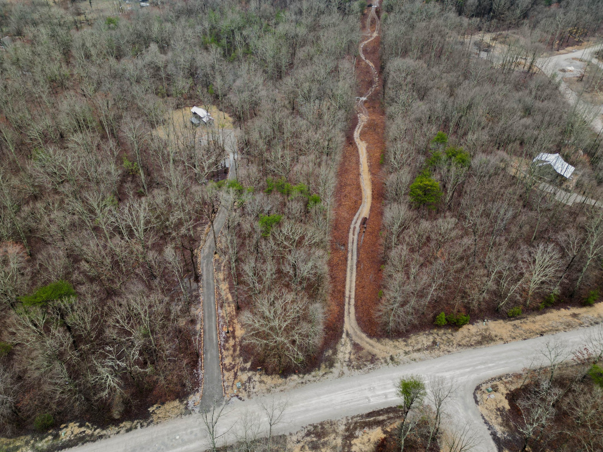 207 Sunset Bluff Monteagle, TN 37356 - Photo 2 of 13 a view of a dry yard with trees