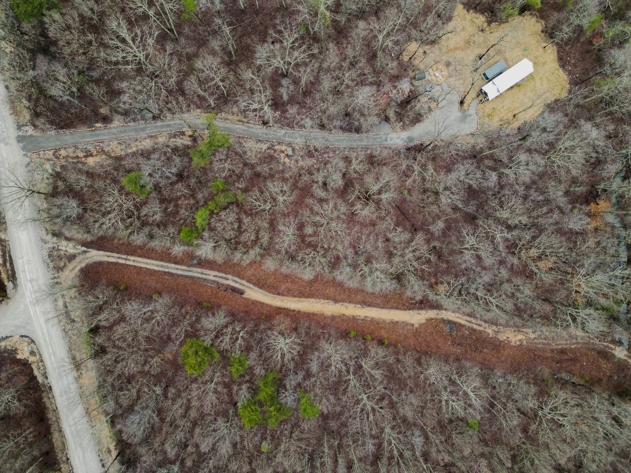 207 Sunset Bluff Monteagle, TN 37356 - Photo 6 of 13 a view of a yard with a tree
