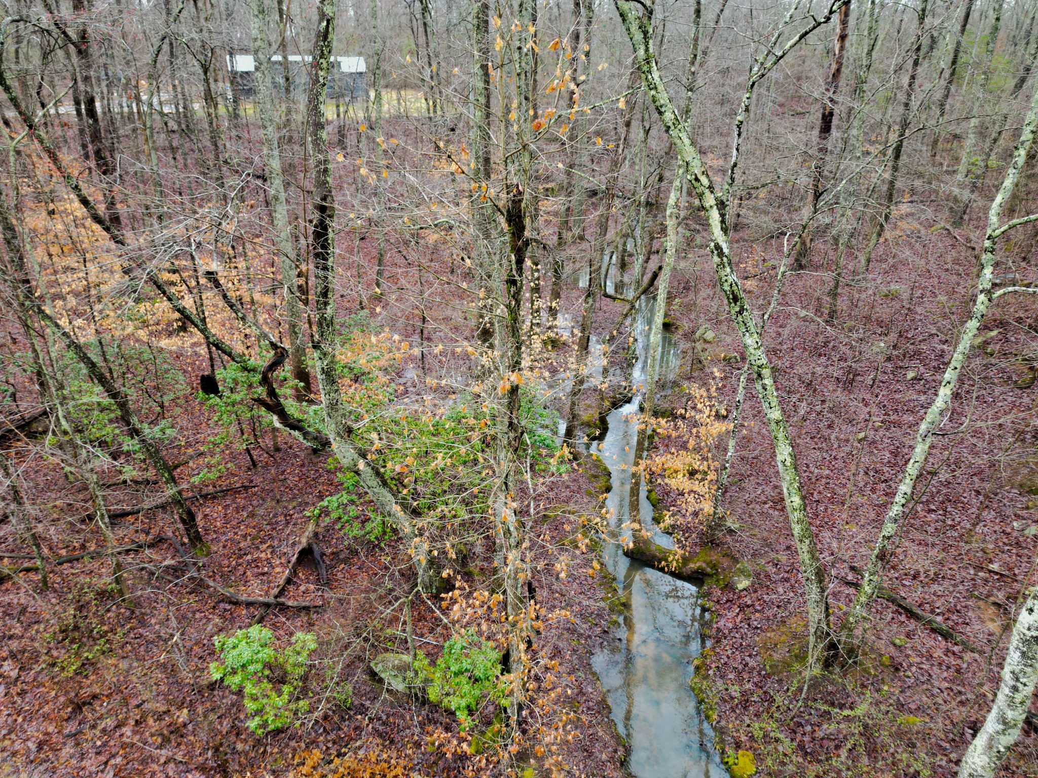 207 Sunset Bluff Monteagle, TN 37356 - Photo 7 of 13 a aerial view of a house with a yard and large trees