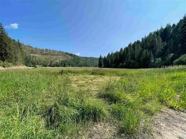 $35,000 | 41-xx North Deer Lake Road, Loon Lake, WA 99148
